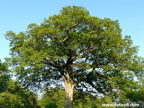 梦见坐车一路都能看到佛,解梦梦见坐车一路都能看到佛 梦见坐车一路都能看到佛,解梦梦见坐车一路都能看到佛
