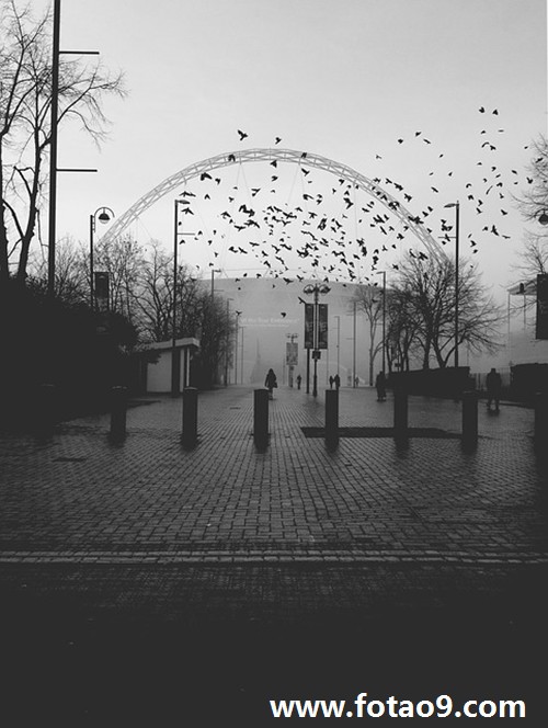 μһƬ͵Ĳݵزݵ,μһƬ͵Ĳݵزݵ