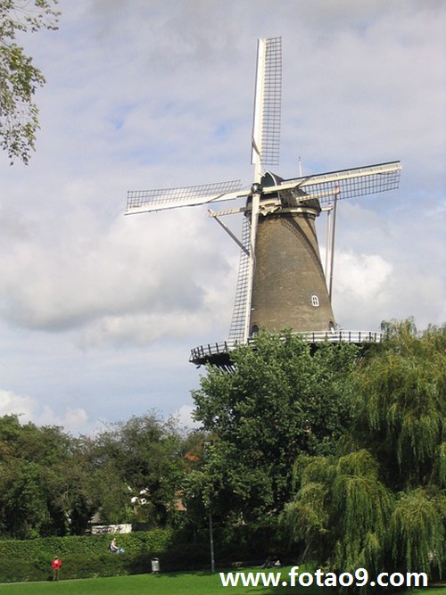 梦见被领导认可,解梦梦见被领导认可 梦见被领导认可,解梦梦见被领导认可