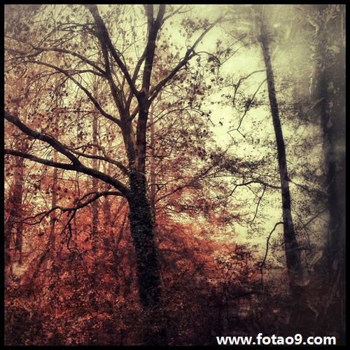 μİְָǮƱ,μİְָǮƱ