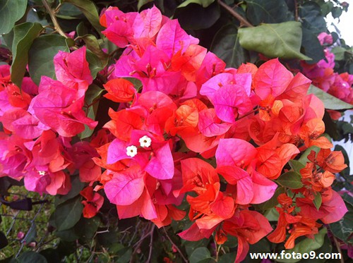 梦见和一个男生在教室在一起,解梦梦见和一个男生在教室在一起 梦见和一个男生在教室在一起,解梦梦见和一个男生在教室在一起