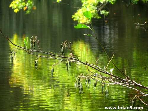 μְֵָж,μְֵָж