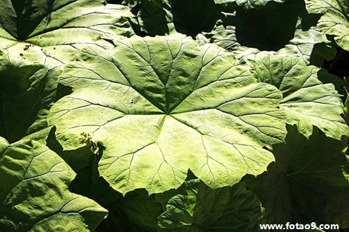 梦见仙家给我东西吃,解梦梦见仙家给我东西吃 梦见仙家给我东西吃,解梦梦见仙家给我东西吃