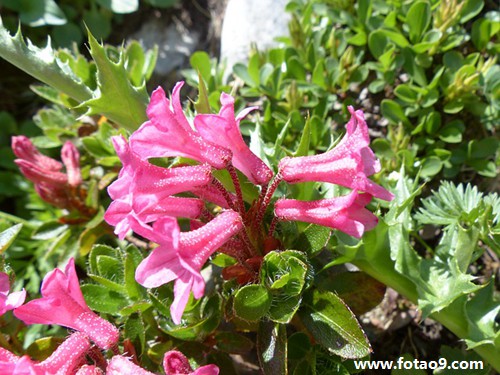 梦见地上好多别人的血,解梦梦见地上好多别人的血 梦见地上好多别人的血,解梦梦见地上好多别人的血