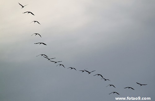 梦见杀人彩票是,解梦梦见杀人彩票是 梦见杀人彩票是,解梦梦见杀人彩票是