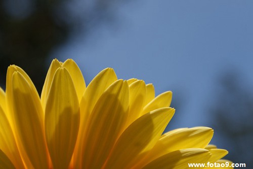 梦见出马仙寺庙,解梦梦见出马仙寺庙 梦见出马仙寺庙,解梦梦见出马仙寺庙