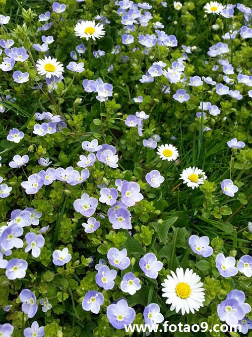 μ۾ҪҧԼ,μ۾ҪҧԼ