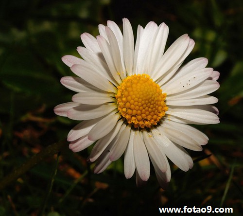 梦见隔壁夫妻俩吵架,解梦梦见隔壁夫妻俩吵架 梦见隔壁夫妻俩吵架,解梦梦见隔壁夫妻俩吵架