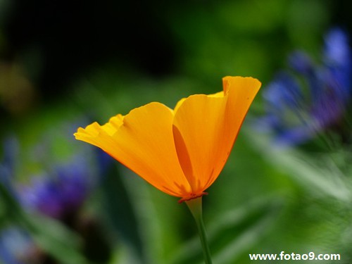 梦见有人给饼吃,解梦梦见有人给饼吃 梦见有人给饼吃,解梦梦见有人给饼吃