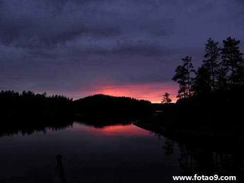 梦见树飞起来,解梦梦见树飞起来 梦见树飞起来,解梦梦见树飞起来