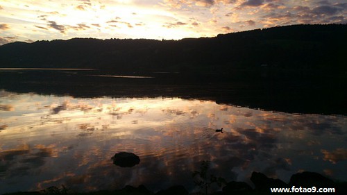 μŮѴһɫ·,μŮѴһɫ·