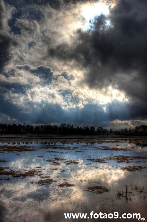 梦见老公从车上掉下,解梦梦见老公从车上掉下 梦见老公从车上掉下,解梦梦见老公从车上掉下