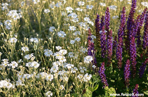 梦见中钱被偷走我便把小偷打死,解梦梦见中钱被偷走我便把小偷打死 梦见中钱被偷走我便把小偷打死,解梦梦见中钱被偷走我便把小偷打死