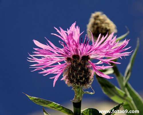 梦见女人躺着,解梦梦见女人躺着 梦见女人躺着,解梦梦见女人躺着