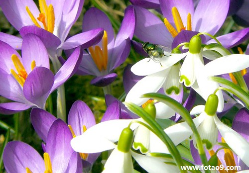 μɱܱ׽ס,μɱܱ׽ס