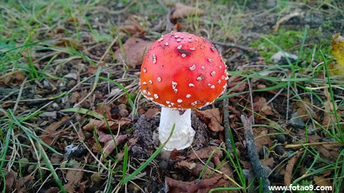 梦见与鬼同车,解梦梦见与鬼同车 梦见与鬼同车,解梦梦见与鬼同车