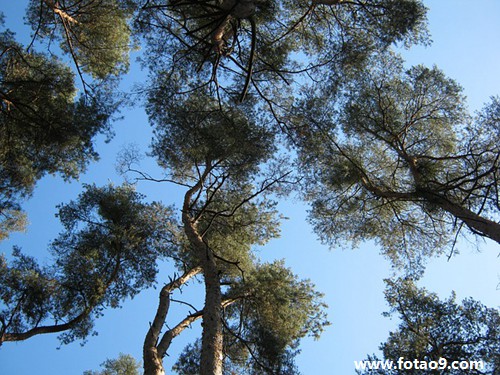 梦见教堂和塔,解梦梦见教堂和塔 梦见教堂和塔,解梦梦见教堂和塔