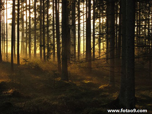 梦见在大海里釣魚,解梦梦见在大海里釣魚 梦见在大海里釣魚,解梦梦见在大海里釣魚