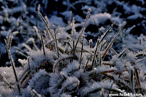 μԼƤ,μԼƤ