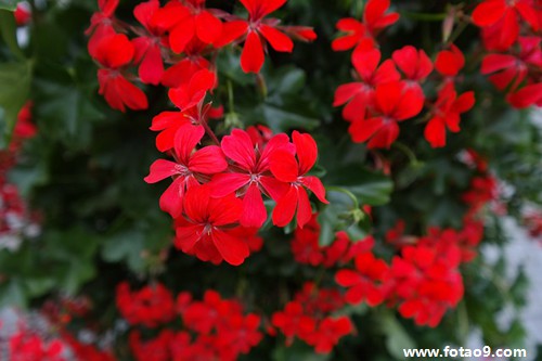 孕妇梦见给小孩买鞋,解梦孕妇梦见给小孩买鞋 孕妇梦见给小孩买鞋,解梦孕妇梦见给小孩买鞋