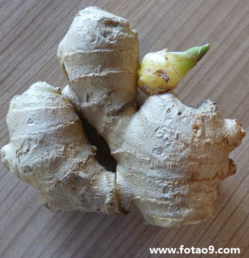 μȥڵ,μȥڵ