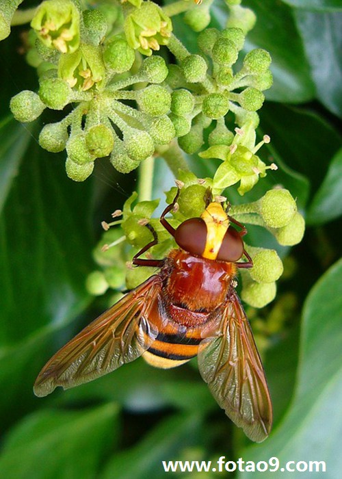 梦见嘴里吐泥巴,解梦梦见嘴里吐泥巴 梦见嘴里吐泥巴,解梦梦见嘴里吐泥巴