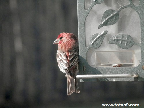 μ͵˼ҵӤ,μ͵˼ҵӤ