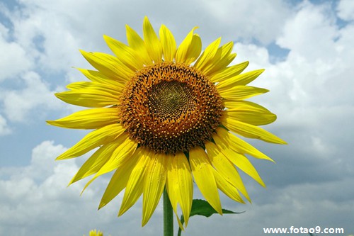 梦见小女孩偷我东西,解梦梦见小女孩偷我东西 梦见小女孩偷我东西,解梦梦见小女孩偷我东西