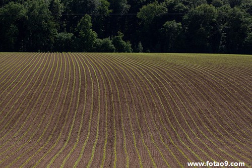 μɫײķ̹,μɫײķ̹