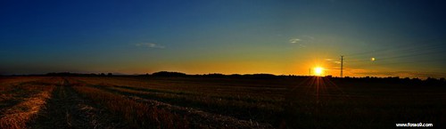 μŮѴɽϵ,μŮѴɽϵ