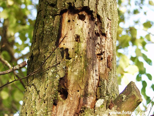 梦见上班淋雨遲到,解梦梦见上班淋雨遲到 梦见上班淋雨遲到,解梦梦见上班淋雨遲到