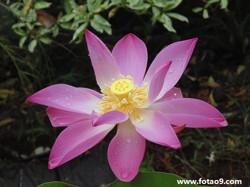 μ͵һǮ,μ͵һǮ