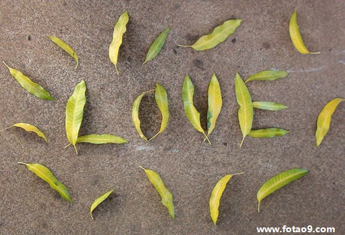 梦见老公出轨把我赶出家门,解梦梦见老公出轨把我赶出家门 梦见老公出轨把我赶出家门,解梦梦见老公出轨把我赶出家门