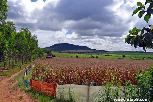 梦见去世的爷爷和我要果子吃,解梦梦见去世的爷爷和我要果子吃 梦见去世的爷爷和我要果子吃,解梦梦见去世的爷爷和我要果子吃