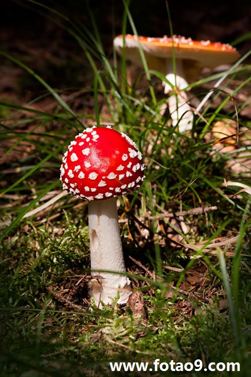 梦见挖不正常死亡人的坟,解梦梦见挖不正常死亡人的坟 梦见挖不正常死亡人的坟,解梦梦见挖不正常死亡人的坟