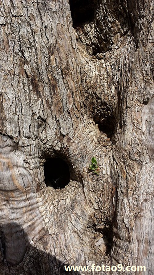 μİŮͨ绰,μİŮͨ绰