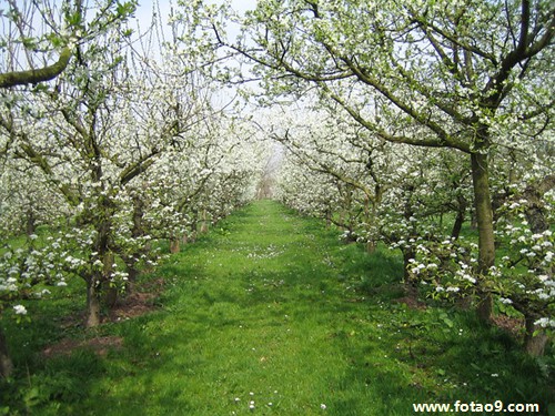 梦见在外婆家洗碗,解梦梦见在外婆家洗碗 梦见在外婆家洗碗,解梦梦见在外婆家洗碗