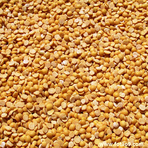 μұһͷ׷ɱ,μұһͷ׷ɱ