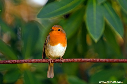 梦见男人长了两个性器官,解梦梦见男人长了两个性器官 梦见男人长了两个性器官,解梦梦见男人长了两个性器官
