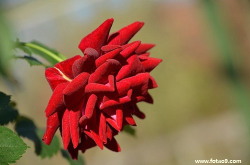 梦见妈妈被人谋杀,解梦梦见妈妈被人谋杀 梦见妈妈被人谋杀,解梦梦见妈妈被人谋杀