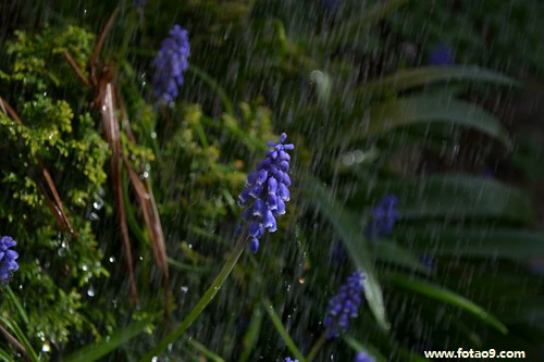 梦见老公帮助别的女人和我吵架,解梦梦见老公帮助别的女人和我吵架 梦见老公帮助别的女人和我吵架,解梦梦见老公帮助别的女人和我吵架