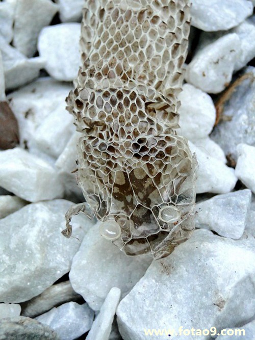 梦见我跟儿子被人抢劫,解梦梦见我跟儿子被人抢劫 梦见我跟儿子被人抢劫,解梦梦见我跟儿子被人抢劫