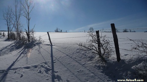 梦见帮别人收高粱,解梦梦见帮别人收高粱 梦见帮别人收高粱,解梦梦见帮别人收高粱