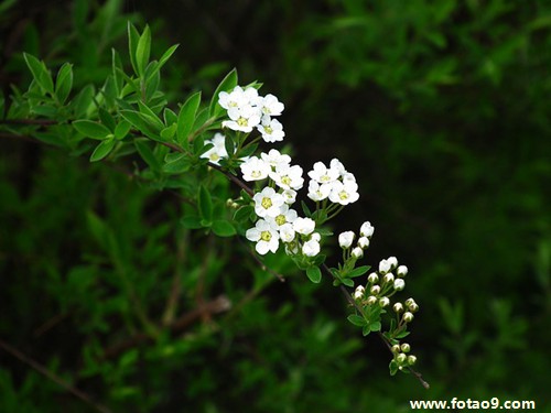 μԼˣ᲻Ǯ,μԼˣ᲻Ǯ
