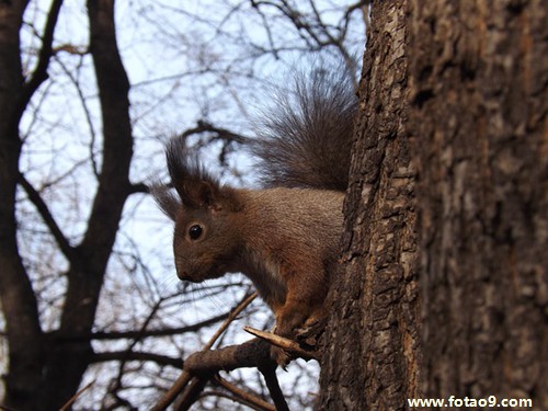 μЬ˴ȥϲ,μЬ˴ȥϲ