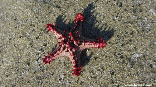 梦见上厕所脚踩粪池里了,解梦梦见上厕所脚踩粪池里了 梦见上厕所脚踩粪池里了,解梦梦见上厕所脚踩粪池里了