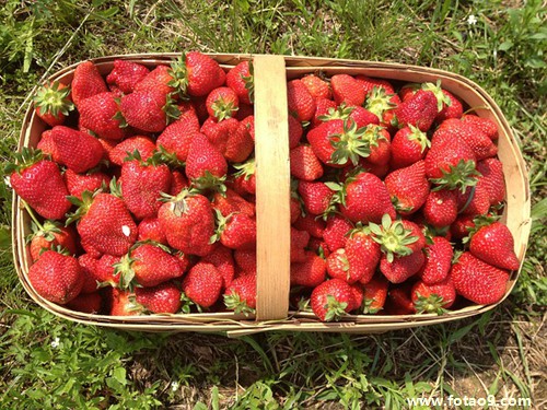 μҵıҵƾǼٵ,μҵıҵƾǼٵ