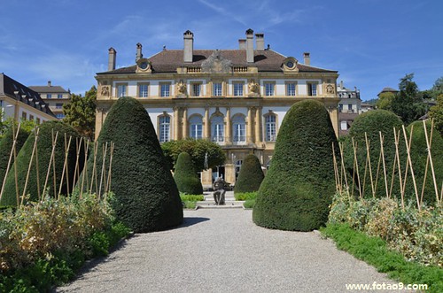 梦见动物围攻,解梦梦见动物围攻 梦见动物围攻,解梦梦见动物围攻