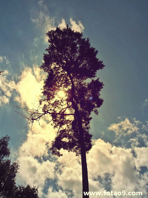 梦见和表哥吃烧烤,解梦梦见和表哥吃烧烤 梦见和表哥吃烧烤,解梦梦见和表哥吃烧烤