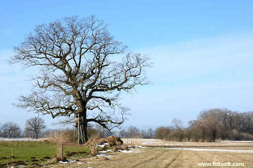 μںŮ,μںŮ
